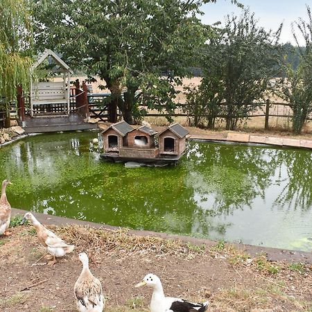South Wing Coldharbour Park Farm Villa Rake Buitenkant foto