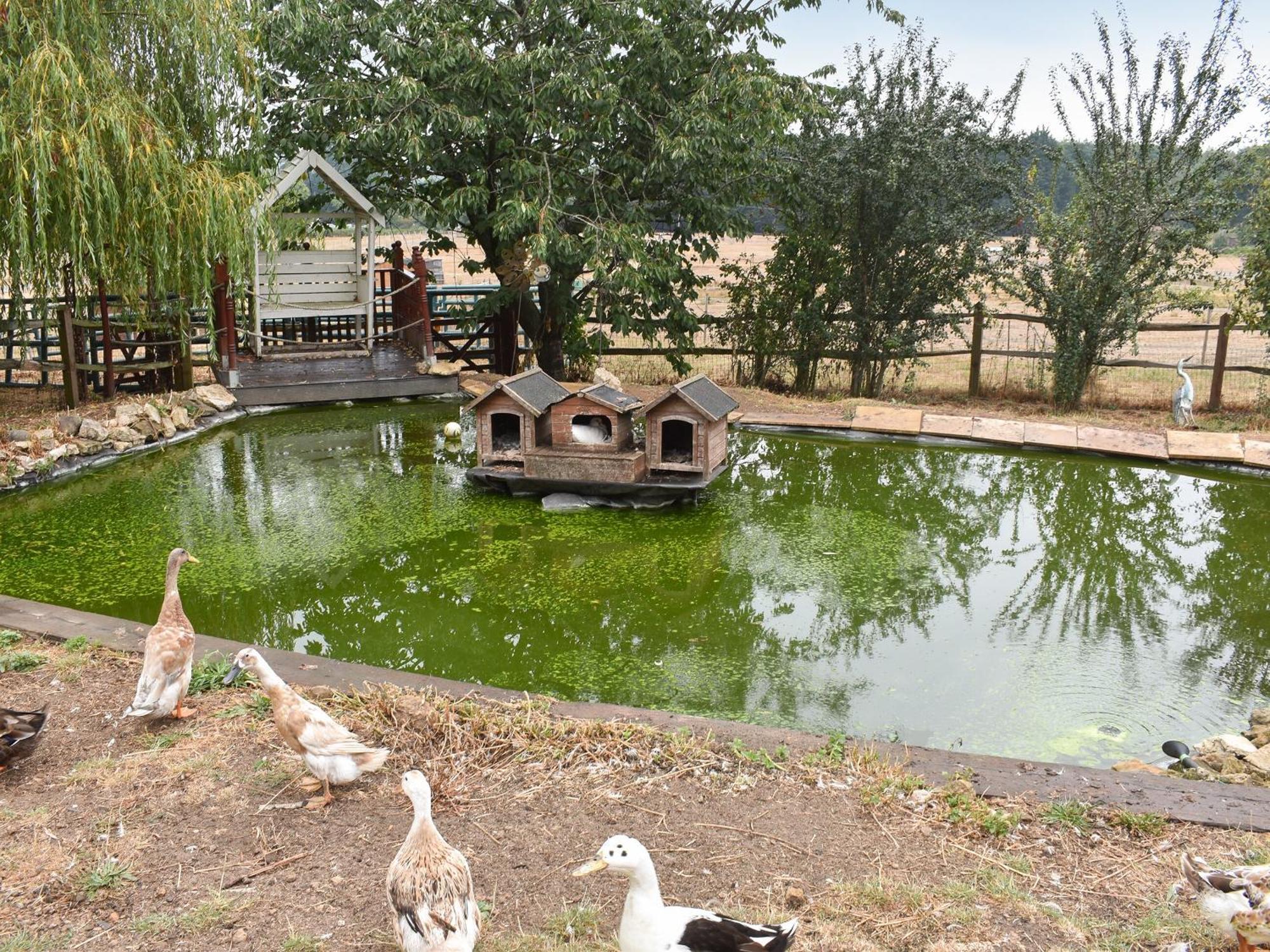 South Wing Coldharbour Park Farm Villa Rake Buitenkant foto